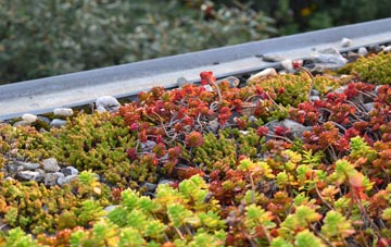 the cost of Greenlea green roof installation