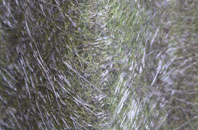 Greenlea fibreglass roof work