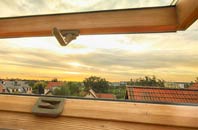 rated Greenlea roof window companies